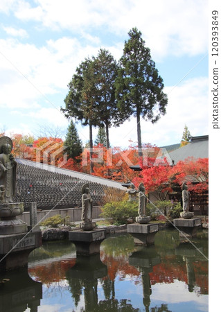 Scenery of the Rokujizo Pond at Donzan Kannonji Temple Scenery of the Rokujizo Pond at Donzan Kannonji Temple 120393849