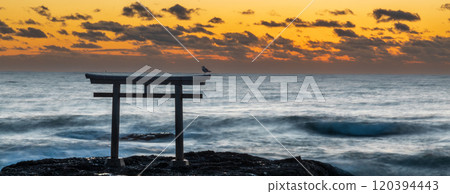 "Ibaraki Prefecture" A torii gate standing on the coast before sunrise at Oarai Isosaki Shrine 120394443