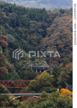 211系列在中央本線山區行駛，紅葉美麗_2024年11月16日拍攝 120394536