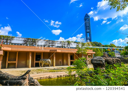 Elephant area at Higashiyama Zoo and Botanical Gardens, Nagoya, Aichi Prefecture 120394541