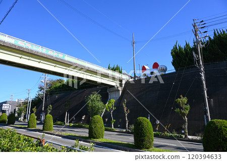 一隻貓從愛知縣常滑市路邊向外張望 120394633