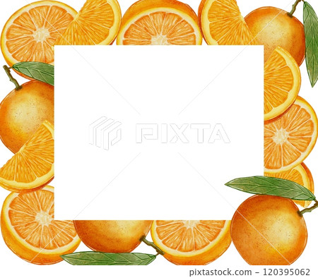 Rectangular, square frame of oranges, tangerines, citrus Rectangular, square frame of oranges, tangerines, citrus 120395062