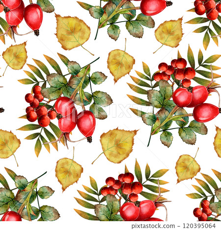 Seamless pattern of autumn rowan and rosehip, red berries 120395064