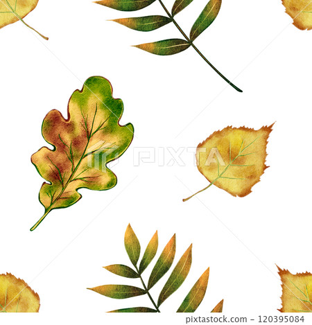 Seamless Autumn Leaves Pattern Seamless Autumn Leaves Pattern 120395084