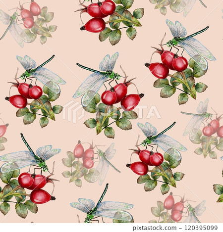 Seamless Rosehip and Dragonfly Pattern Seamless Rosehip and Dragonfly Pattern 120395099