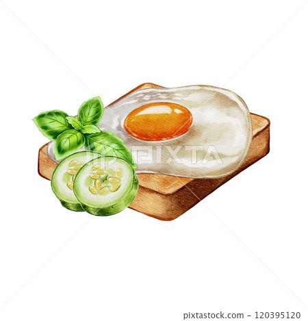 fried egg on toast with cucumber and basil, breakfast 120395120
