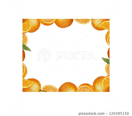 Rectangular, square frame of oranges, tangerines, citrus 120395150