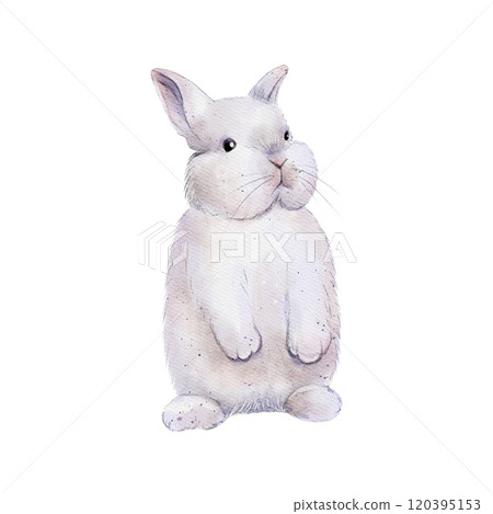 Chubby, fluffy rabbits, hares. Watercolor illustration Chubby, fluffy rabbits, hares. Watercolor illustration 120395153