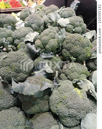 fresh broccoli for sale in supermarket fresh broccoli for sale in supermarket 120395181