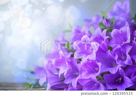 Beautiful spring background with campanula bouquet. 120395515
