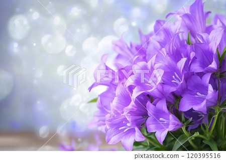 Beautiful spring background with campanula bouquet. 120395516