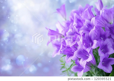 Beautiful spring background with campanula bouquet. Beautiful spring background with campanula bouquet. 120395521