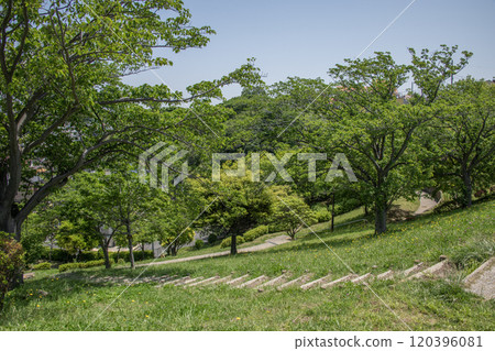 神奈川縣橫濱市金澤區富岡西富岡西公園 神奈川縣橫濱市金澤區富岡西富岡西公園 120396081