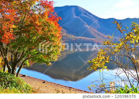 Lake Onuma, Akagi: View from the lakeside, Autumn scenery Lake Onuma, Akagi: View from the lakeside, Autumn scenery 120396370