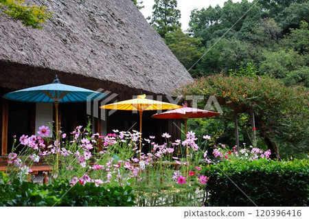 厚厚的屋頂和宇宙 120396416