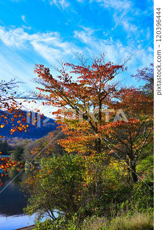 赤城大沼 從湖畔眺望的秋色景色 120396444