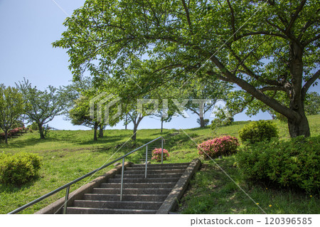神奈川縣橫濱市金澤區富岡西富岡西公園 120396585
