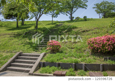 Tomioka Nishi Park, Tomioka Nishi, Kanazawa Ward, Yokohama City, Kanagawa Prefecture 120396726