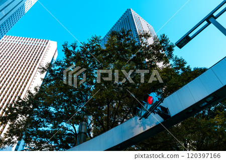新宿副中心紅綠燈、行道樹、高樓 2024.11 A-4 淺色 120397166