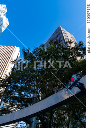 新宿副中心紅綠燈、行道樹、高樓 2024.11 b-1 120397168