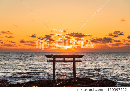 "Ibaraki Prefecture" Torii gate and sunrise on the coast of Oarai Isosaki Shrine 120397522