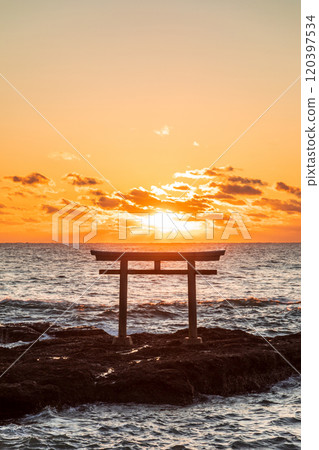 "Ibaraki Prefecture" Torii gate and sunrise on the coast of Oarai Isosaki Shrine 120397534