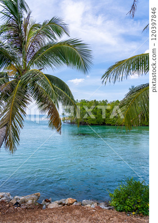 Summer sea with Palm trees,Blue sky white clouds background Summer sea with Palm trees,Blue sky white clouds background 120397846