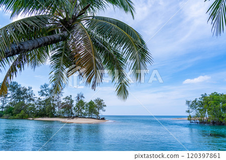 Summer sea with Palm trees,Blue sky white clouds background 120397861