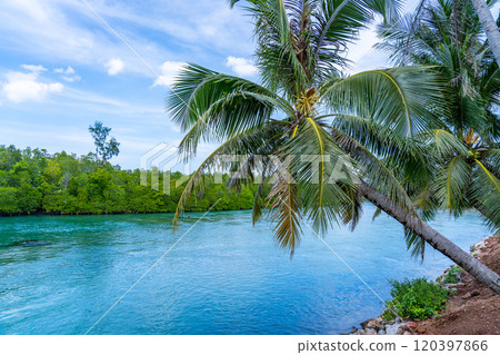 Summer sea with Palm trees,Blue sky white clouds background Summer sea with Palm trees,Blue sky white clouds background 120397866