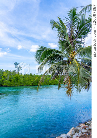 Summer sea with Palm trees,Blue sky white clouds background Summer sea with Palm trees,Blue sky white clouds background 120397867