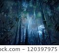Bamboo forest at night with a starry sky 05 120397975