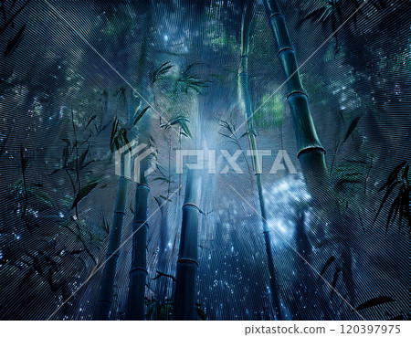 Bamboo forest at night with a starry sky 05 120397975