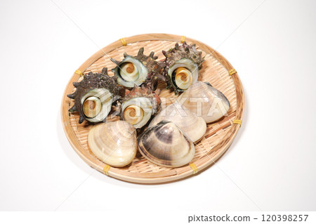 Clams and turban shells on a bamboo colander Clams and turban shells on a bamboo colander 120398257