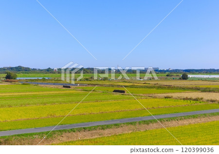 Around Shin-Otone Bridge, Kashiwa City, Chiba Prefecture November 2024 Around Shin-Otone Bridge, Kashiwa City, Chiba Prefecture November 2024 120399036