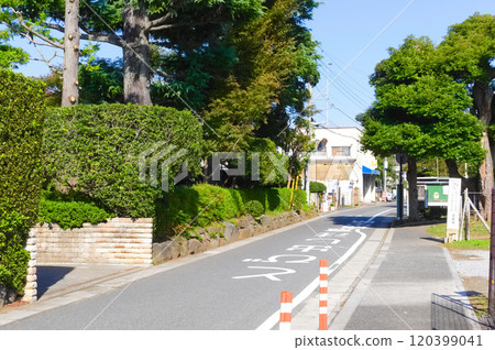 千葉縣流山市伊佐燒樹紀念館週邊 2024年11月 千葉縣流山市伊佐燒樹紀念館週邊 2024年11月 120399041