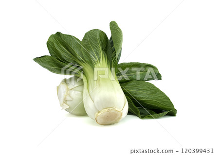 Fresh bok choy on a white background showcasing vibrant green leaves and crisp stems Fresh bok choy on a white background showcasing vibrant green leaves and crisp stems 120399431