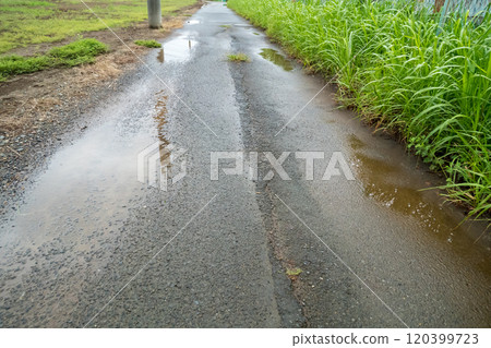 有水坑的狹窄柏油路 120399723