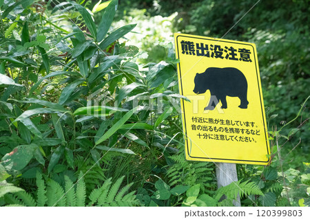 熊警告標誌的圖像（照片） 120399803