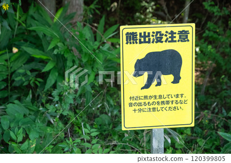 Image of a bear warning sign (stock photo) Image of a bear warning sign (stock photo) 120399805