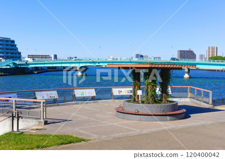 Around Okuto Sports Center, Katsushika Ward, Tokyo November 2024 120400042