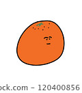 mandarin orange fruit food 120400856