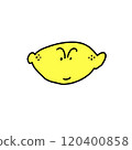 lemon yellow fruit 120400858