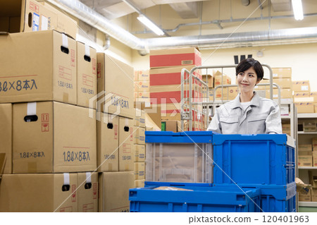 Logistics / transportation industry: Women carrying luggage on trolleys Logistics / transportation industry: Women carrying luggage on trolleys 120401963