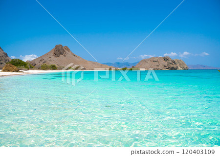 Spectacular view of Pink Beach in Komodo National Park, Indonesia 120403109