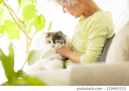 Senior Japanese woman holding a cat 120403133