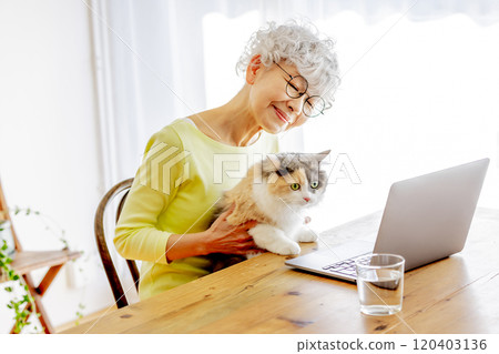 Senior Japanese woman using a computer while holding a cat at home 120403136