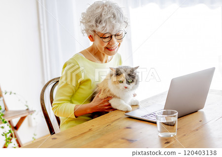 Senior Japanese woman using a computer while holding a cat at home Senior Japanese woman using a computer while holding a cat at home 120403138