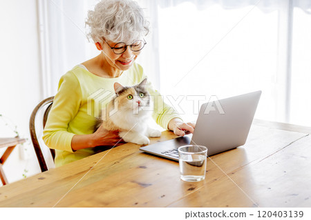 Senior Japanese woman using a computer while holding a cat at home 120403139