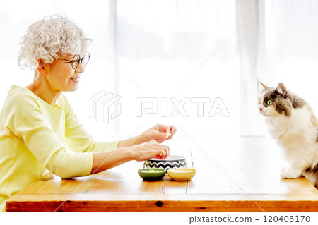 Senior woman preparing cat food 120403170