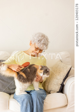 Senior woman brushing a cat Senior woman brushing a cat 120403178